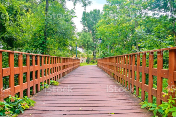 Jembatan Kayu Bergaya Alami
